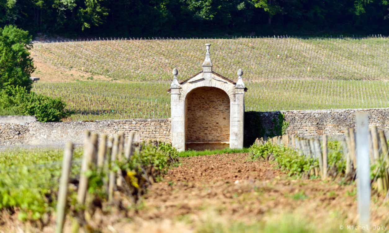 Виноградник Clos Saint-Jacques