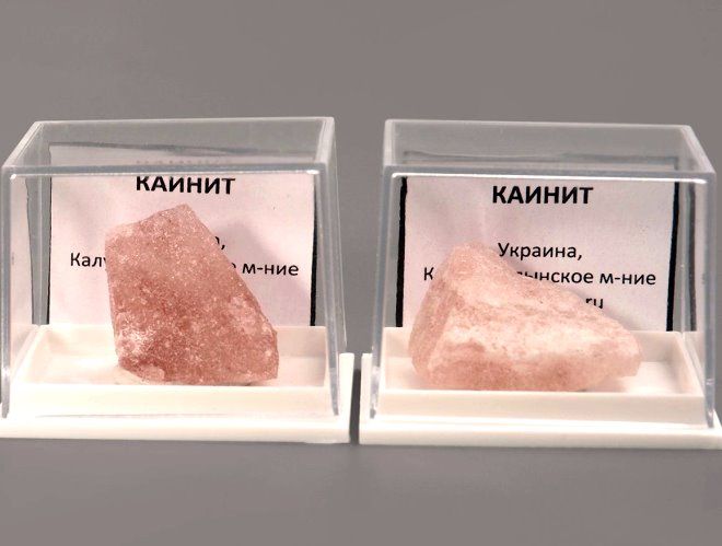 каинит
